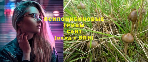 spice Алексин