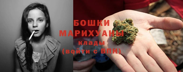трава Алзамай