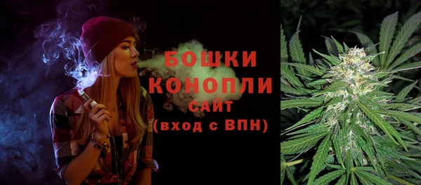 PSILOCYBIN Няндома